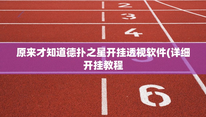 原来才知道德扑之星开挂透视软件(详细开挂教程
