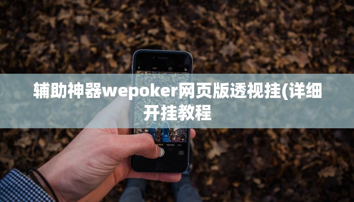 辅助神器“胡一把呼包鄂麻将辅助开挂工具”其实确实有挂