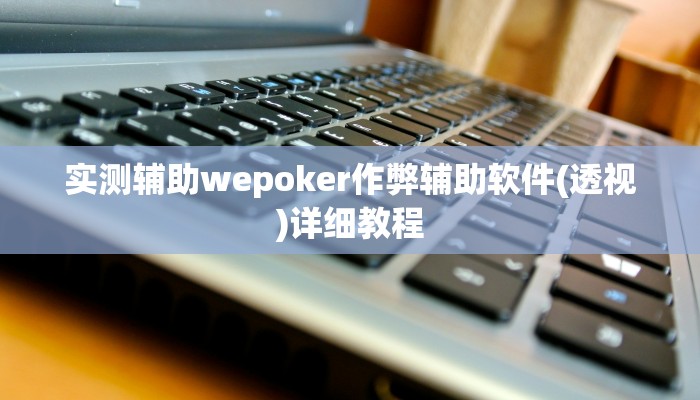 实测辅助wepoker作弊辅助软件(透视)详细教程