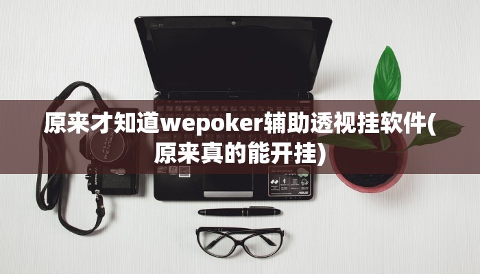 原来才知道wepoker辅助透视挂软件(原来真的能开挂)