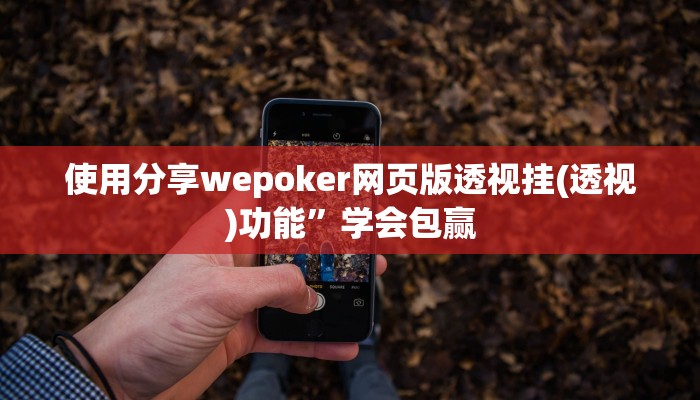 使用分享wepoker网页版透视挂(透视)功能”学会包赢