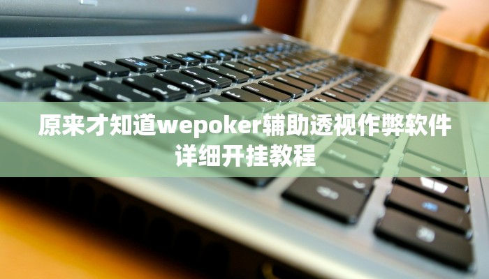 原来才知道wepoker辅助透视作弊软件详细开挂教程