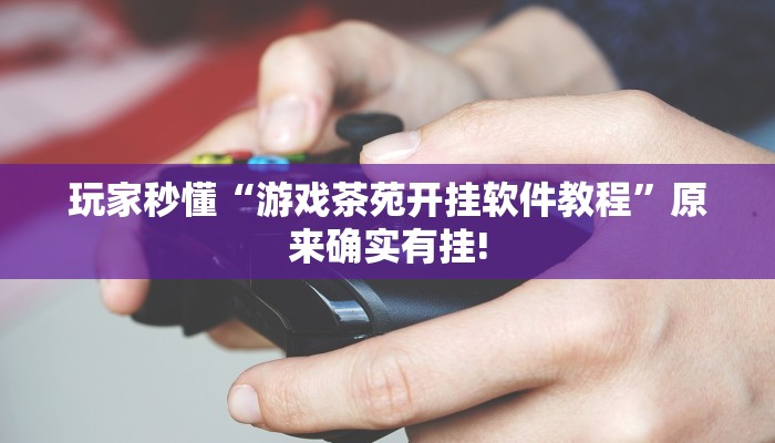 玩家秒懂“游戏茶苑开挂软件教程”原来确实有挂!