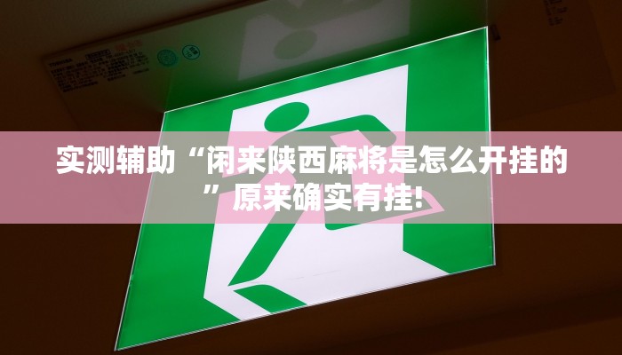 实测辅助“闲来陕西麻将是怎么开挂的”原来确实有挂!
