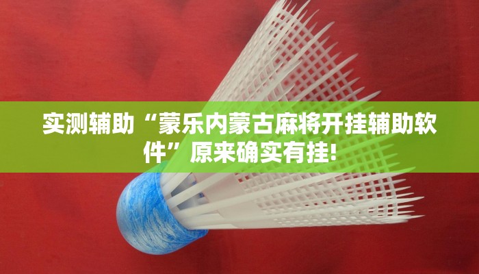 实测辅助“蒙乐内蒙古麻将开挂辅助软件”原来确实有挂!
