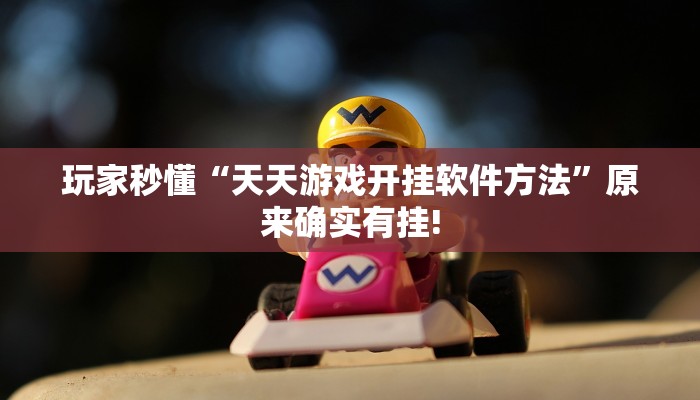 玩家秒懂“天天游戏开挂软件方法”原来确实有挂!