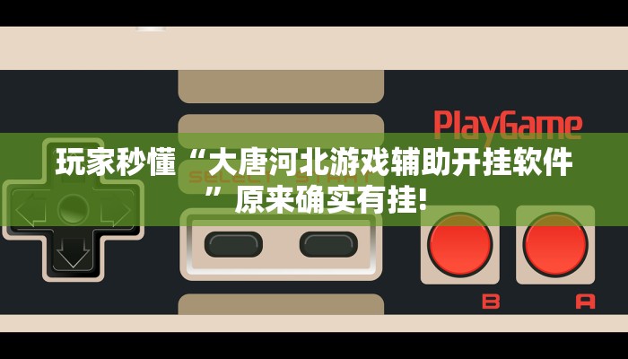 玩家秒懂“大唐河北游戏辅助开挂软件”原来确实有挂!