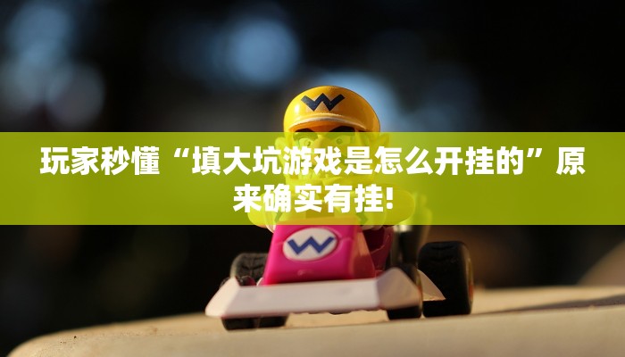 玩家秒懂“填大坑游戏是怎么开挂的”原来确实有挂!