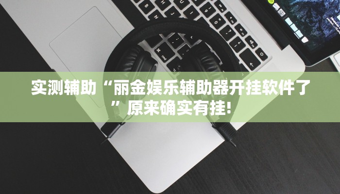 实测辅助“丽金娱乐辅助器开挂软件了”原来确实有挂!