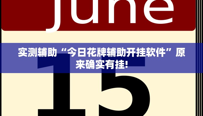 实测辅助“今日花牌辅助开挂软件”原来确实有挂!