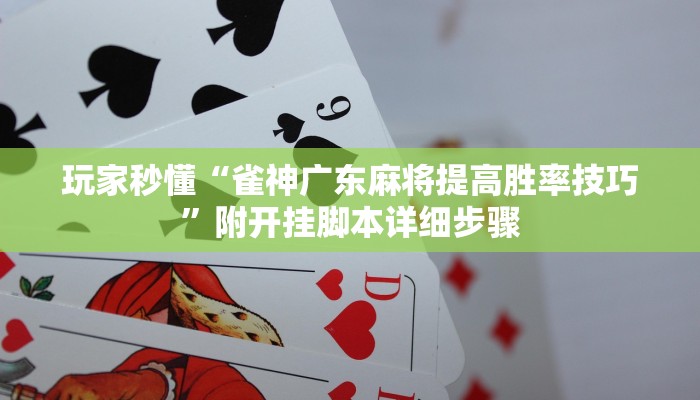 玩家秒懂“雀神广东麻将提高胜率技巧”附开挂脚本详细步骤