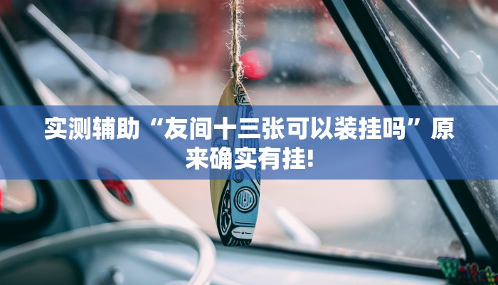 实测辅助“友间十三张可以装挂吗”原来确实有挂!