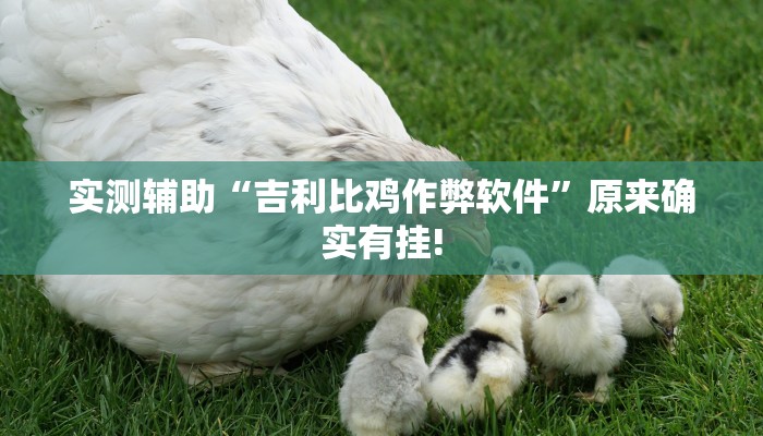 实测辅助“吉利比鸡作弊软件”原来确实有挂!