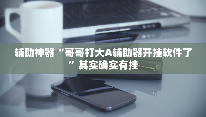 辅助神器“哥哥打大A辅助器开挂软件了”其实确实有挂