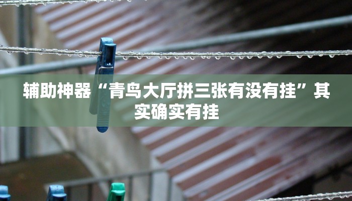 开挂技巧“微乐龙江麻将小程序挂”详细外挂安装步骤 