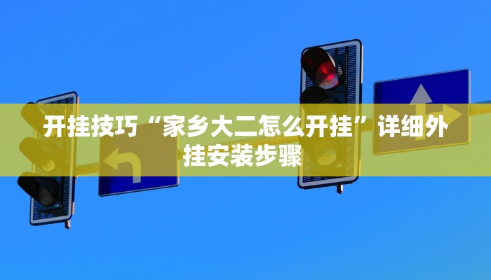 开挂技巧“家乡大二怎么开挂”详细外挂安装步骤 