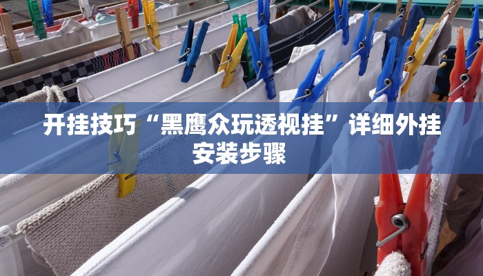 开挂技巧“黑鹰众玩透视挂”详细外挂安装步骤 