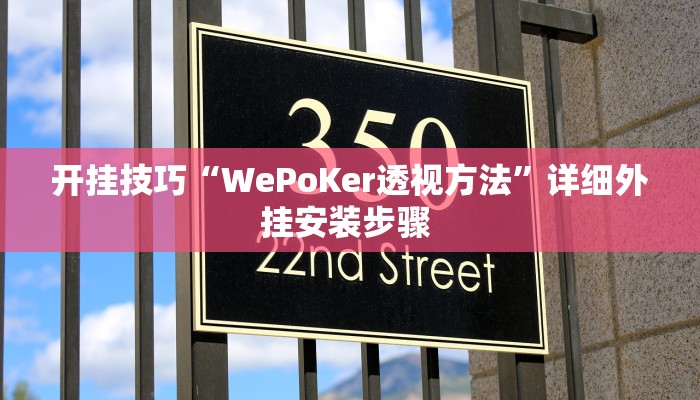 开挂技巧“WePoKer透视方法”详细外挂安装步骤 