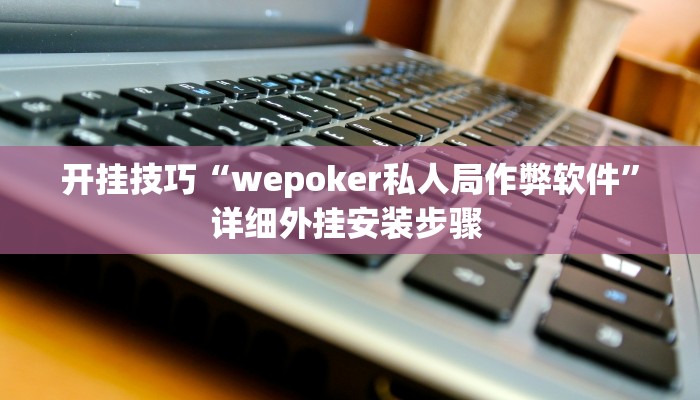 开挂技巧“wepoker私人局作弊软件”详细外挂安装步骤 