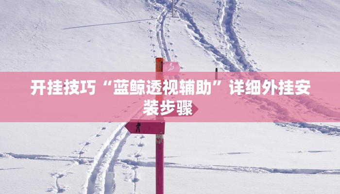 开挂技巧“蓝鲸透视辅助”详细外挂安装步骤 