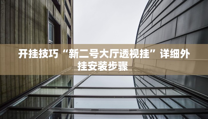 开挂技巧“新二号大厅透视挂”详细外挂安装步骤 
