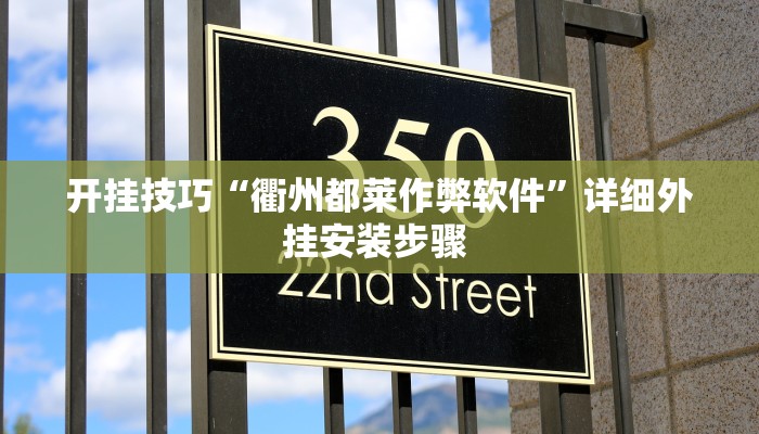 开挂技巧“衢州都莱作弊软件”详细外挂安装步骤 