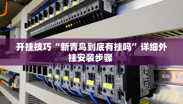 开挂技巧“新青鸟到底有挂吗”详细外挂安装步骤 