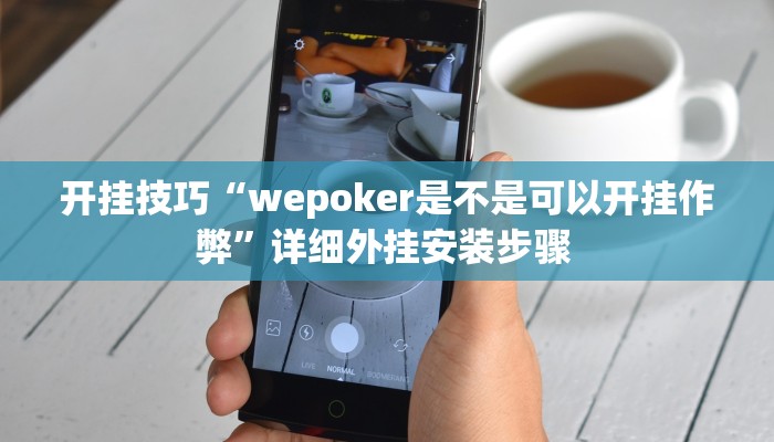 开挂技巧“wepoker是不是可以开挂作弊”详细外挂安装步骤 