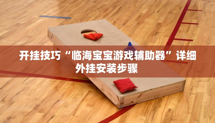 开挂技巧“临海宝宝游戏辅助器”详细外挂安装步骤 