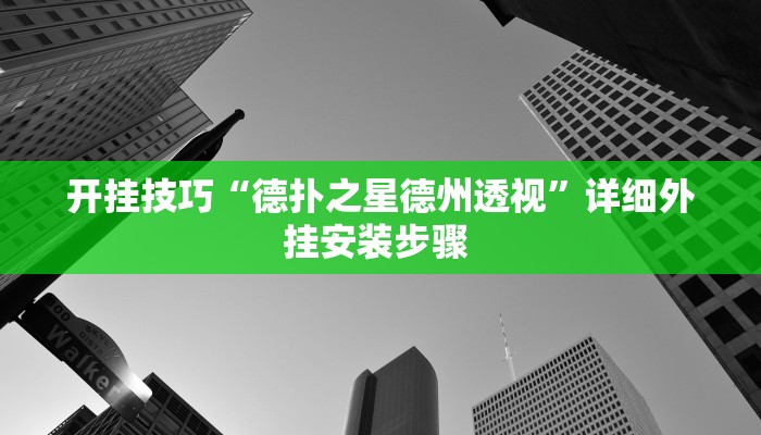 开挂技巧“德扑之星德州透视”详细外挂安装步骤 