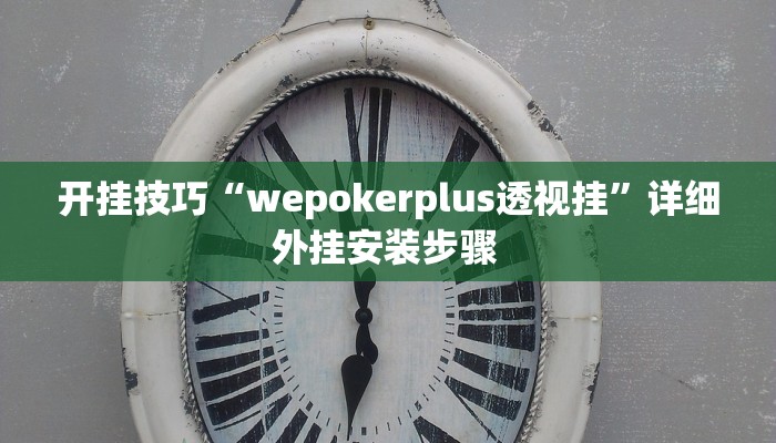开挂技巧“wepokerplus透视挂”详细外挂安装步骤 