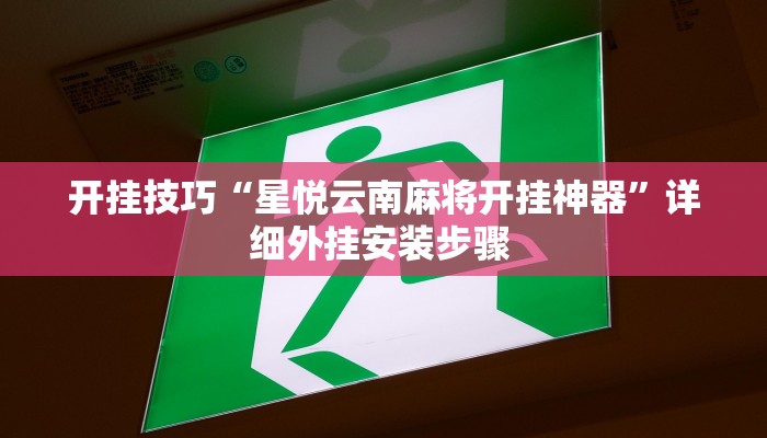 开挂技巧“星悦云南麻将开挂神器”详细外挂安装步骤 