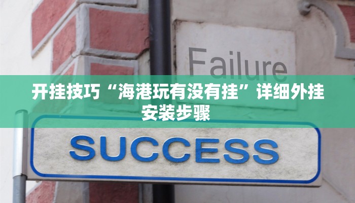 开挂技巧“海港玩有没有挂”详细外挂安装步骤 