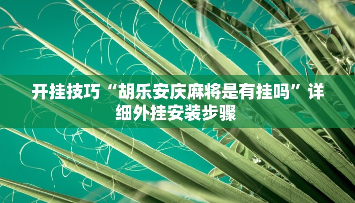 开挂技巧“胡乐安庆麻将是有挂吗”详细外挂安装步骤 