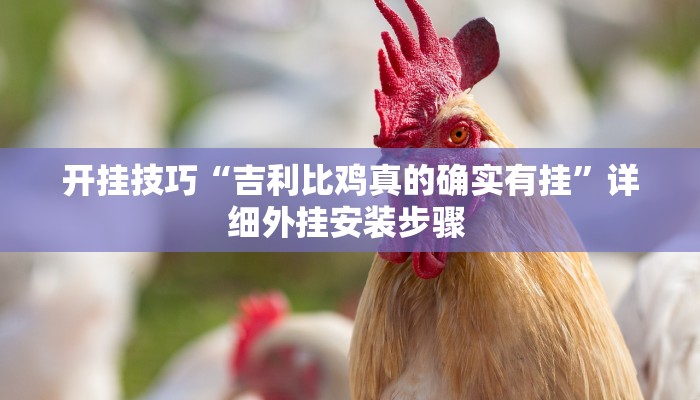 开挂技巧“吉利比鸡真的确实有挂”详细外挂安装步骤 