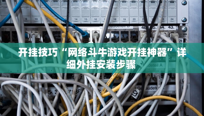 开挂技巧“网络斗牛游戏开挂神器”详细外挂安装步骤 