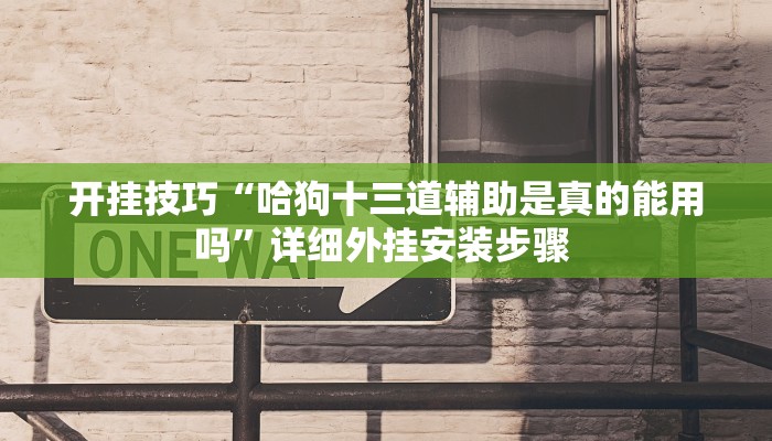开挂技巧“哈狗十三道辅助是真的能用吗”详细外挂安装步骤 