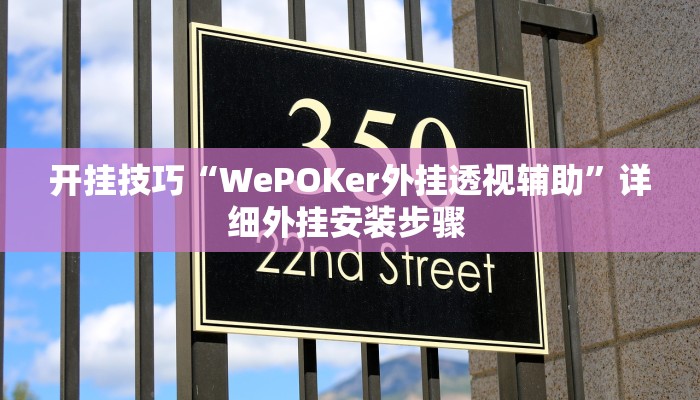开挂技巧“WePOKer外挂透视辅助”详细外挂安装步骤 