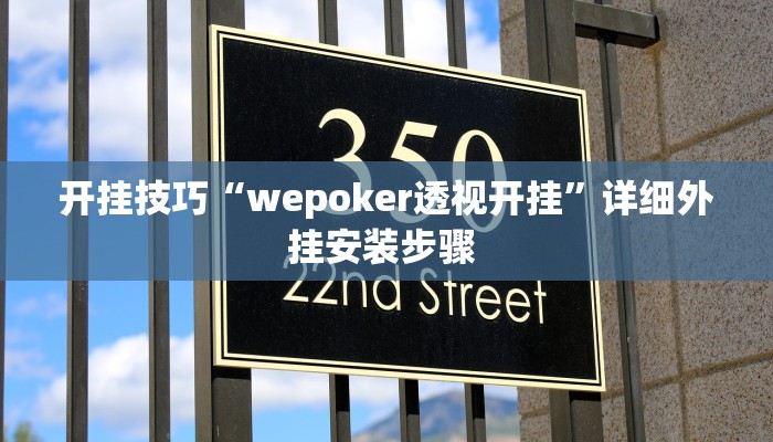 开挂技巧“wepoker透视开挂”详细外挂安装步骤 