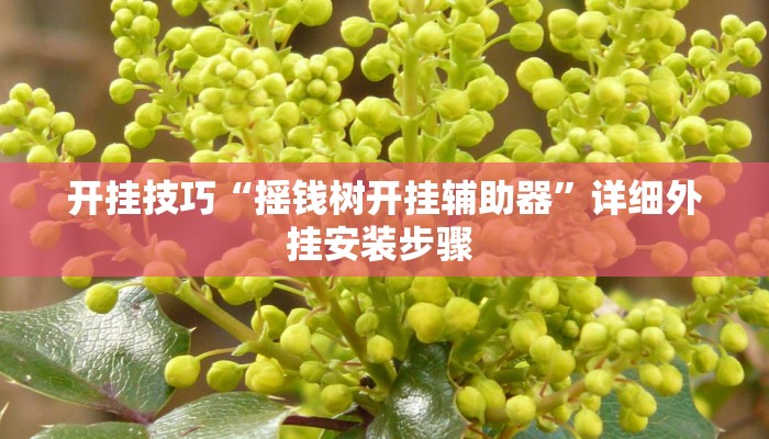 开挂技巧“摇钱树开挂辅助器”详细外挂安装步骤 
