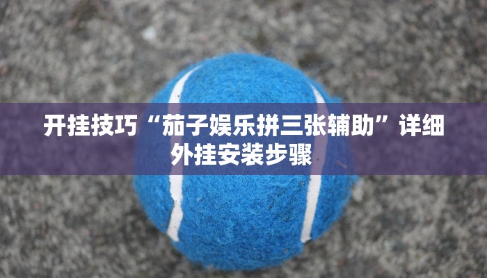 开挂技巧“茄子娱乐拼三张辅助”详细外挂安装步骤 