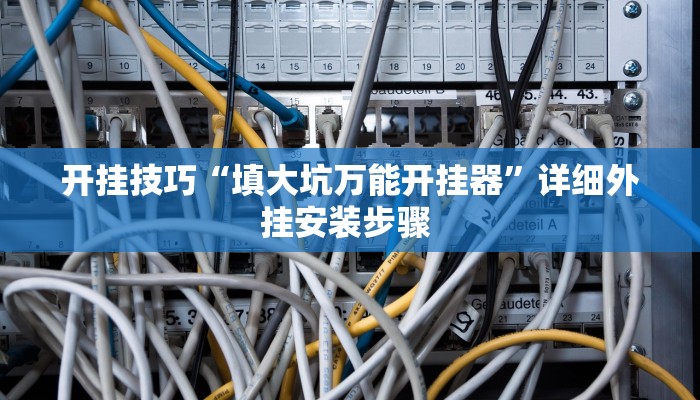 开挂技巧“填大坑万能开挂器”详细外挂安装步骤 