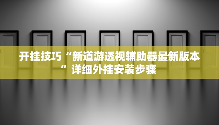 开挂技巧“新道游透视辅助器最新版本”详细外挂安装步骤 