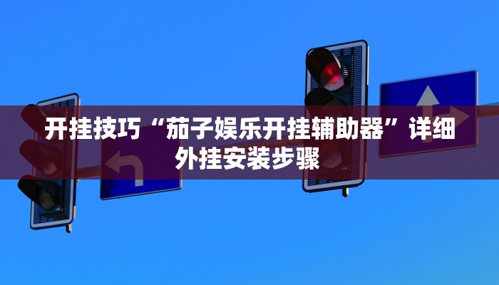 开挂技巧“茄子娱乐开挂辅助器”详细外挂安装步骤 