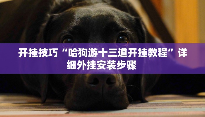 开挂技巧“哈狗游十三道开挂教程”详细外挂安装步骤 