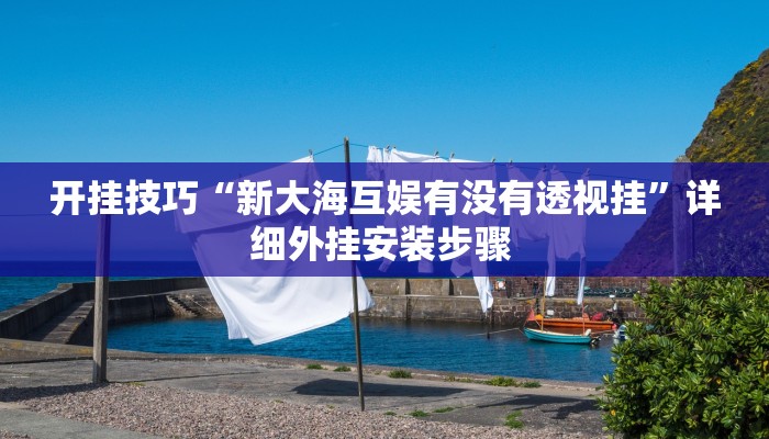 开挂技巧“新大海互娱有没有透视挂”详细外挂安装步骤 