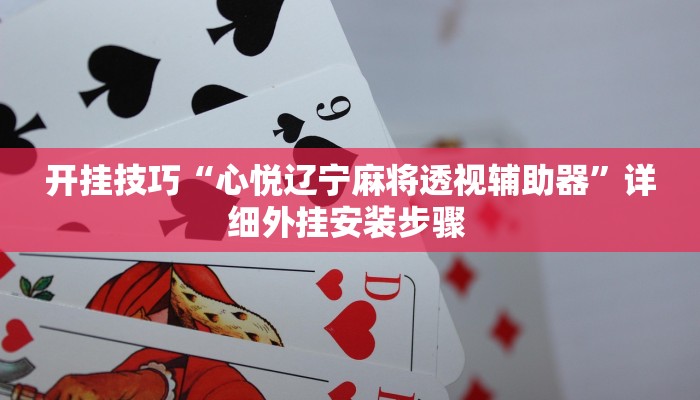 开挂技巧“心悦辽宁麻将透视辅助器”详细外挂安装步骤 