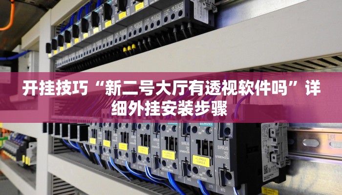开挂技巧“新二号大厅有透视软件吗”详细外挂安装步骤 