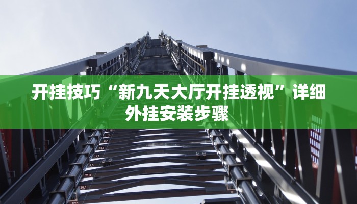 开挂技巧“新九天大厅开挂透视”详细外挂安装步骤 