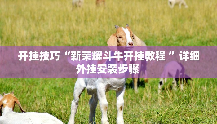 开挂技巧“新荣耀斗牛开挂教程 ”详细外挂安装步骤  开挂技巧“新荣耀斗牛开挂教程 ”详细外挂安装步骤